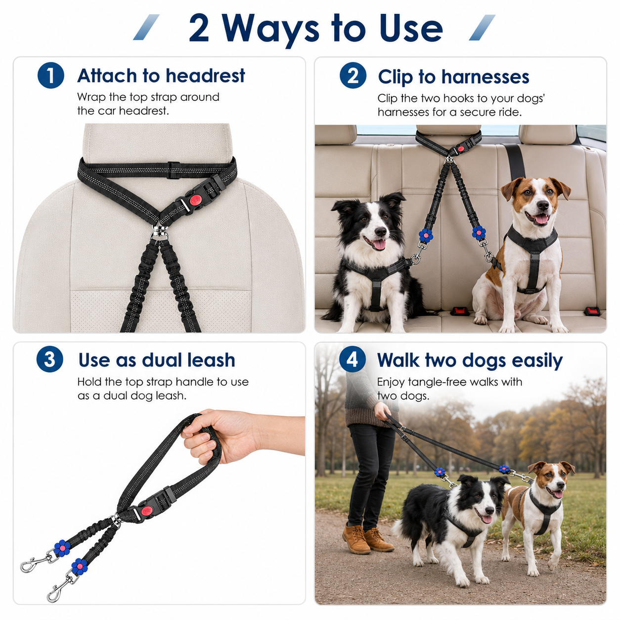 Bora Paw RoamLead — Dual Dog Car Restraint & Lead