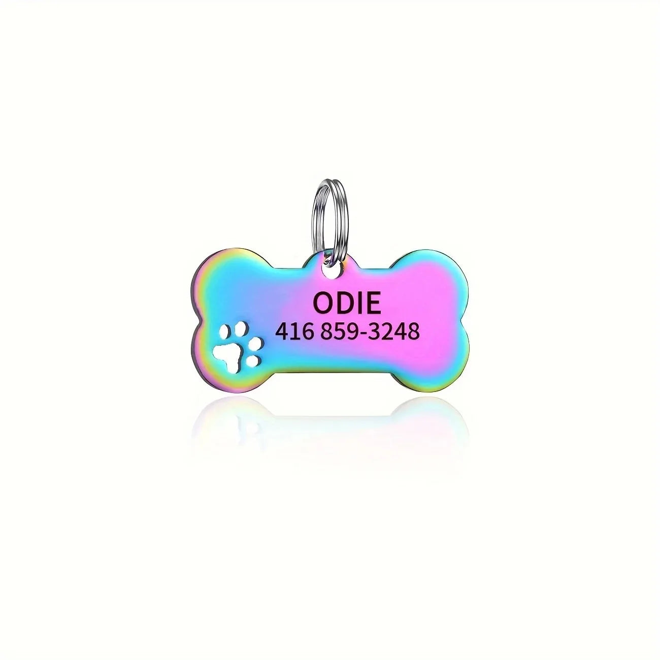 Homeward Tag — Personalised Pet ID Tag for Dogs & Cats