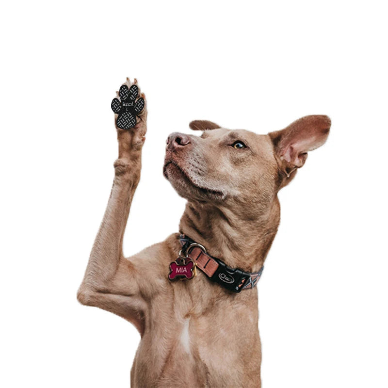 Bora Paw TractionGrip — Anti-Slip Dog Paw Grips