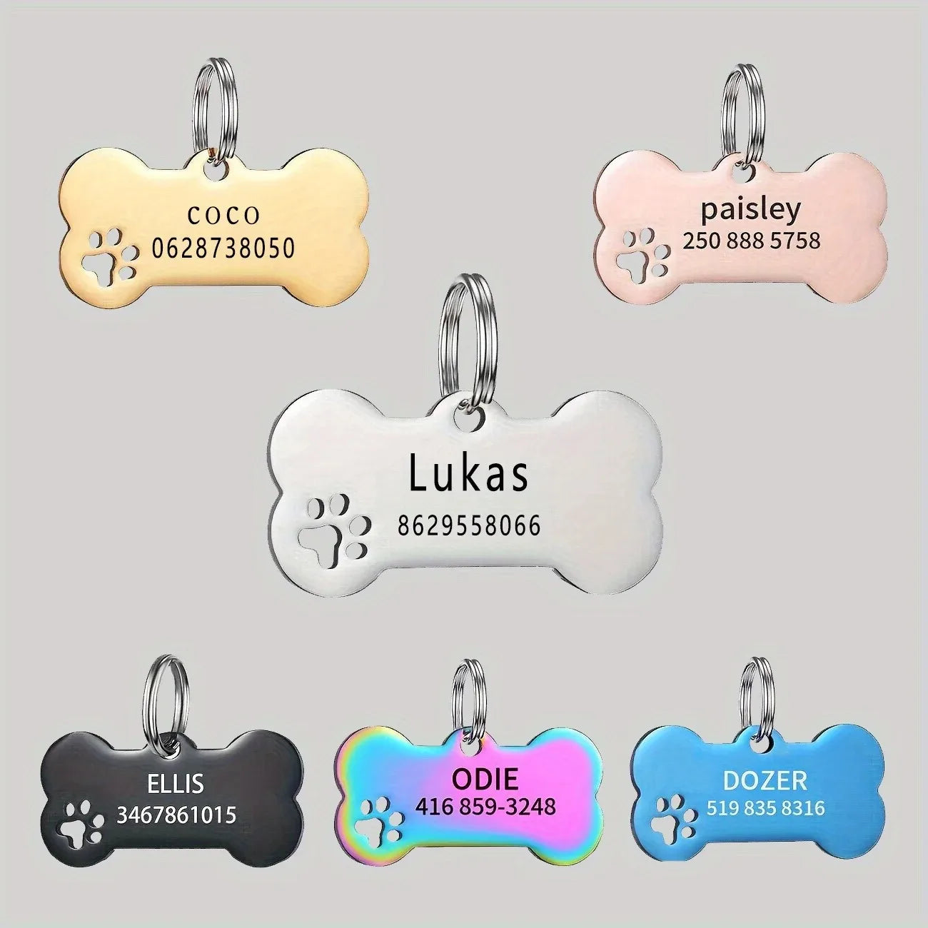 Homeward Tag — Personalised Pet ID Tag for Dogs & Cats