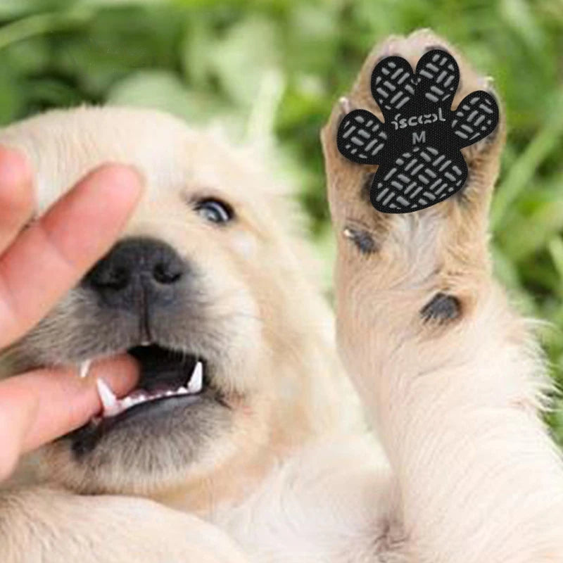 Bora Paw TractionGrip — Anti-Slip Dog Paw Grips