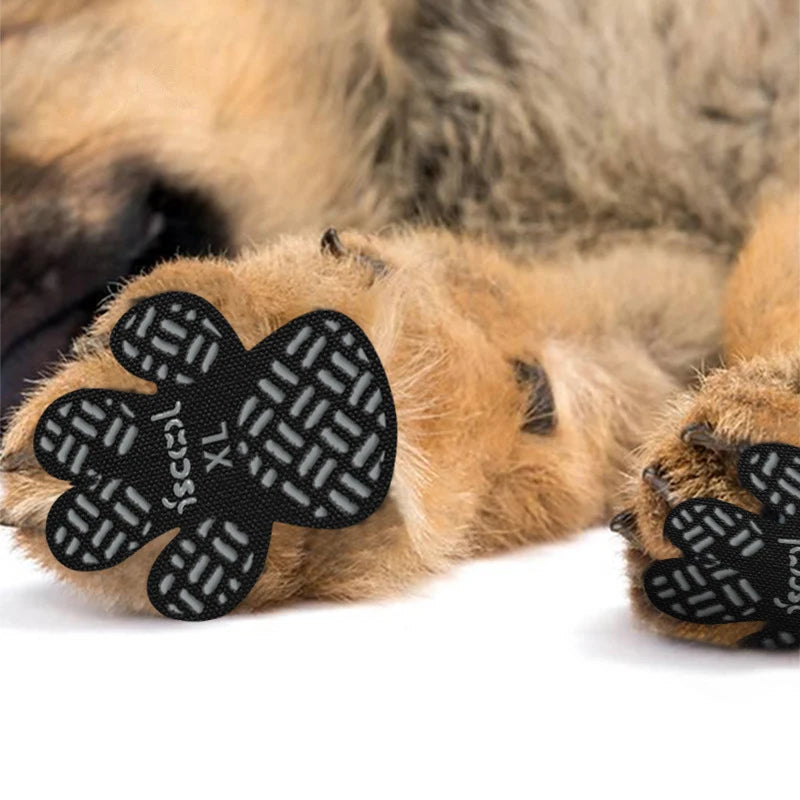 Bora Paw TractionGrip — Anti-Slip Dog Paw Grips