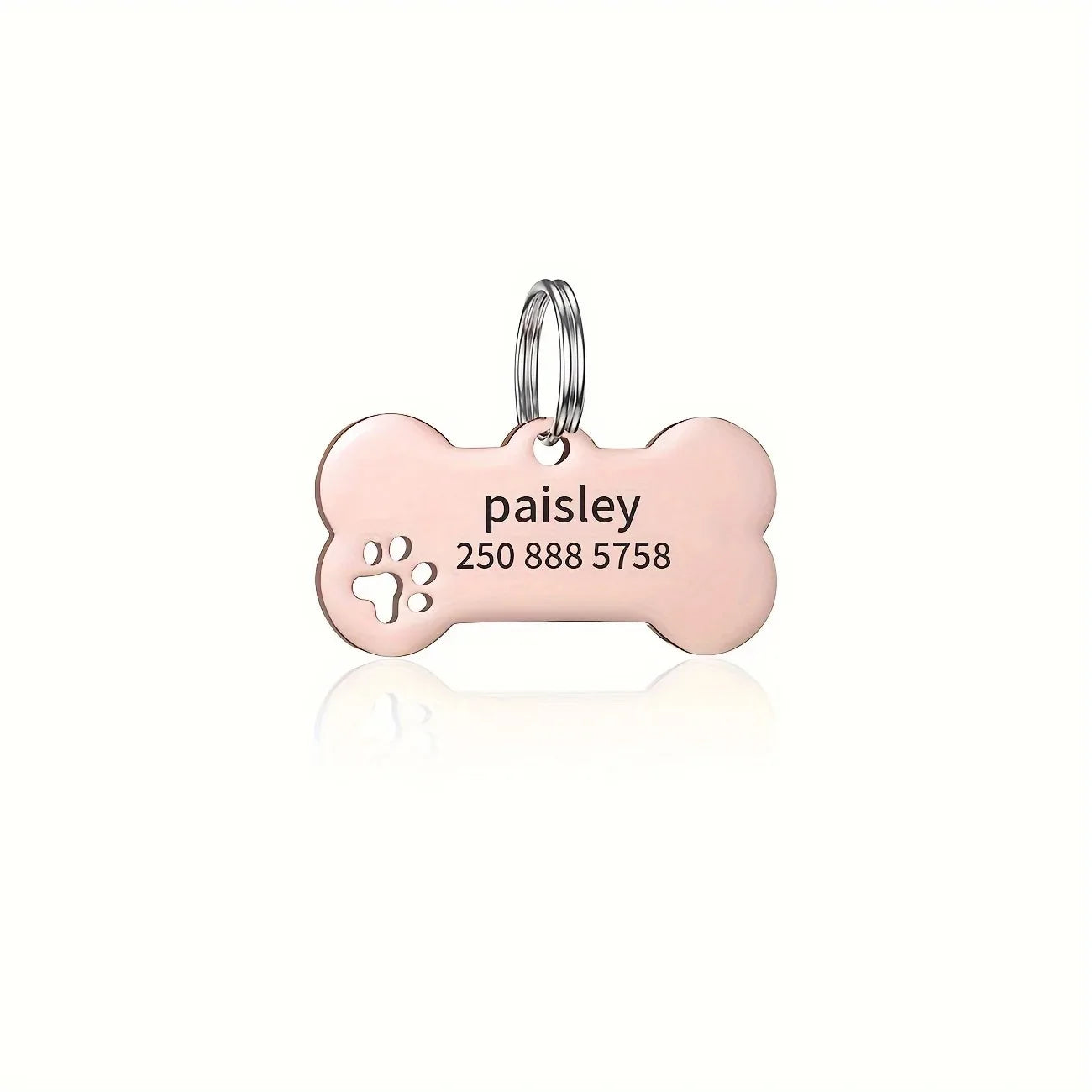 Homeward Tag — Personalised Pet ID Tag for Dogs & Cats