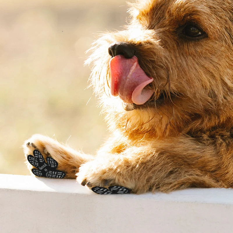 Bora Paw TractionGrip — Anti-Slip Dog Paw Grips