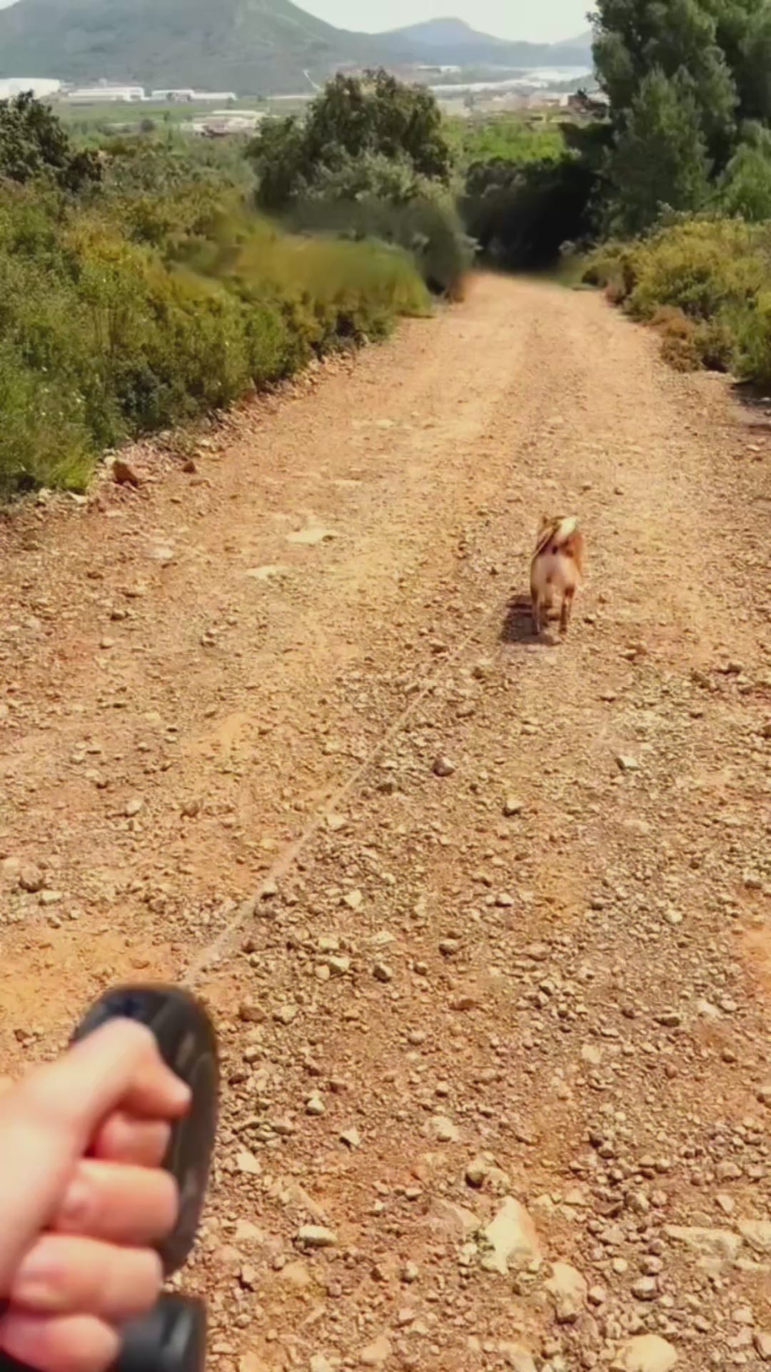 [2FOR1] Bora Paw Trail Bottle