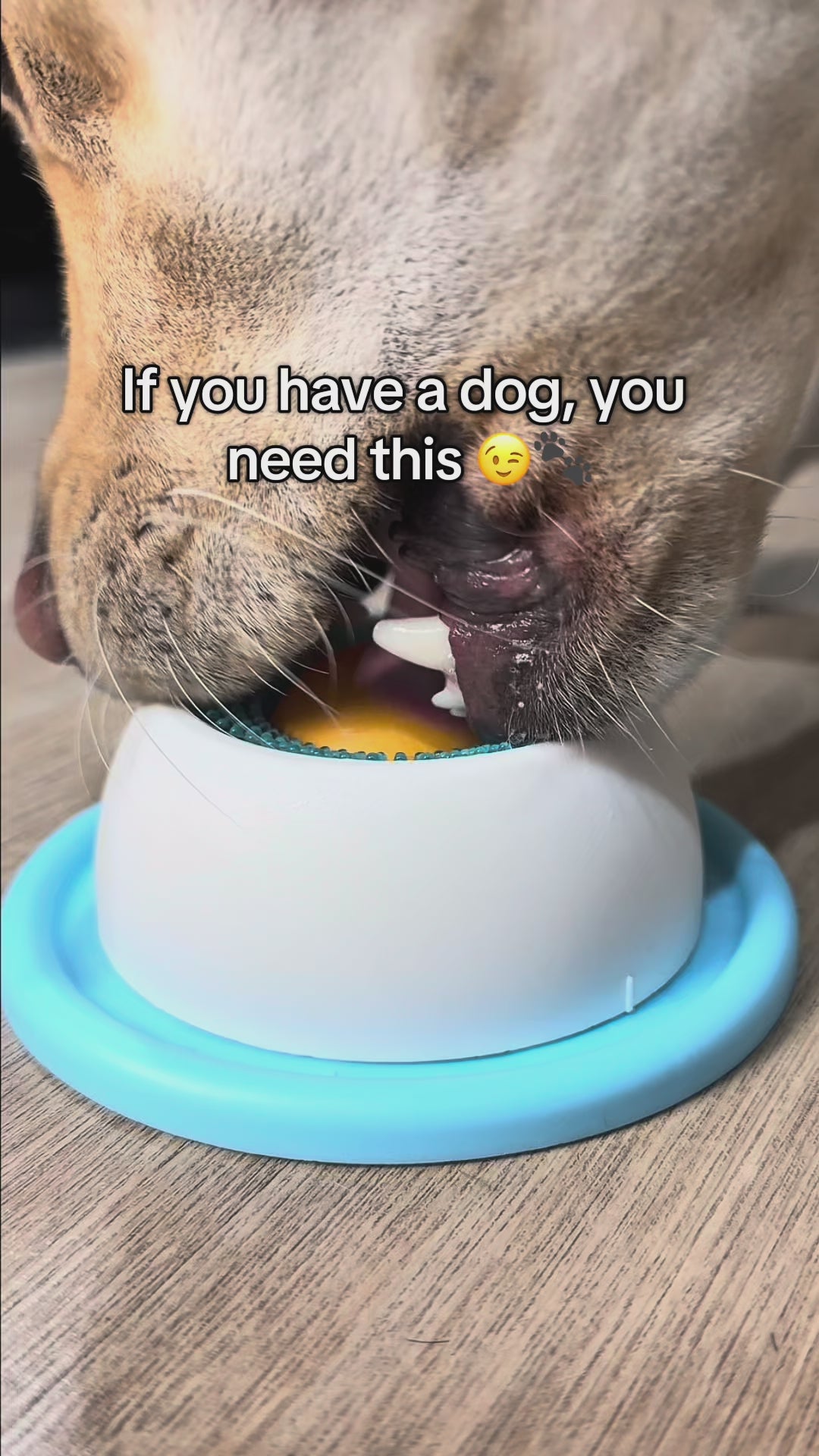 Bora Calm Paws — Interactive Anti-Anxiety Toy for Dogs